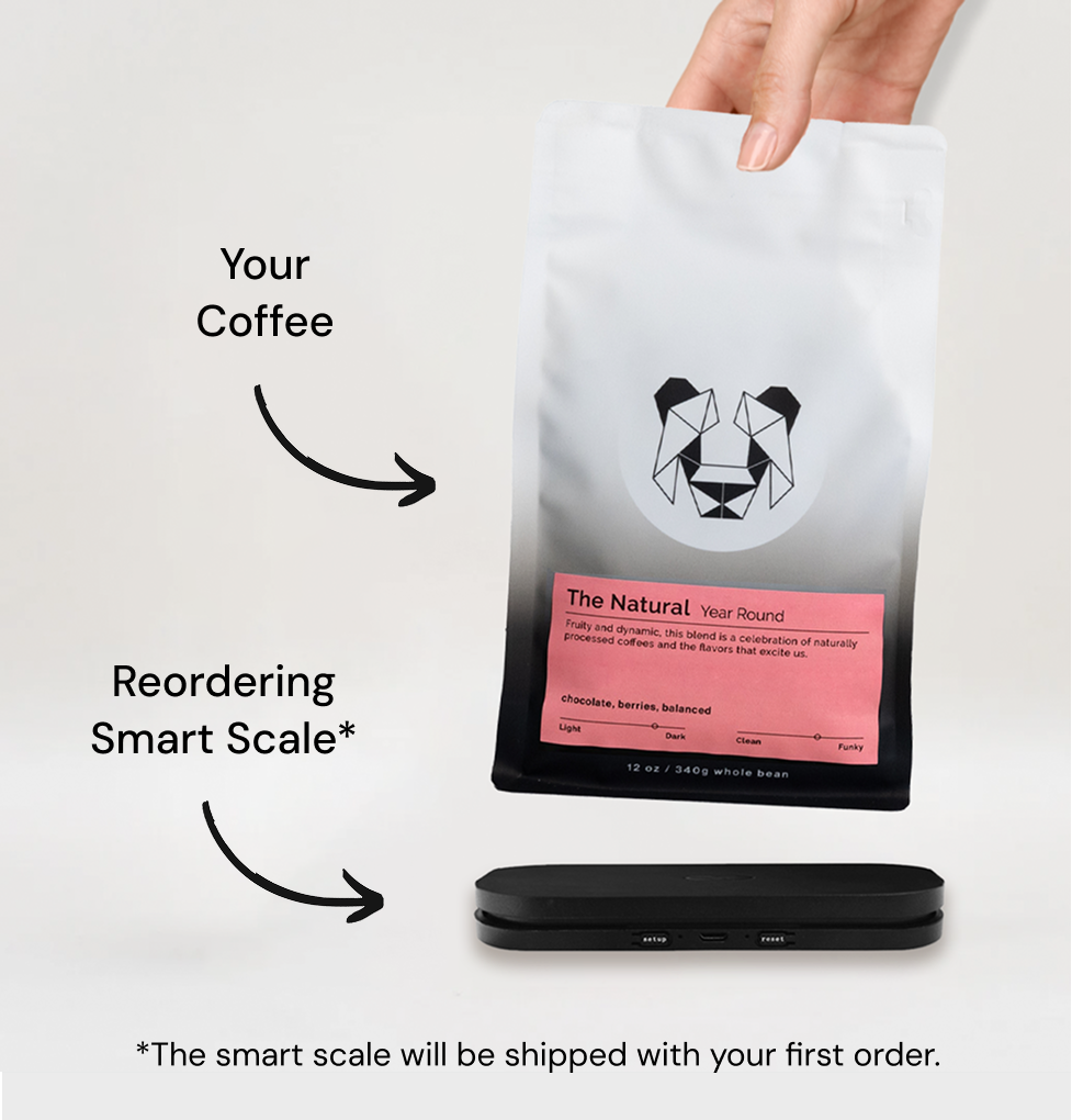 Esteban Zamora Cinnamon Anaerobic | Costa Rica | Black & White