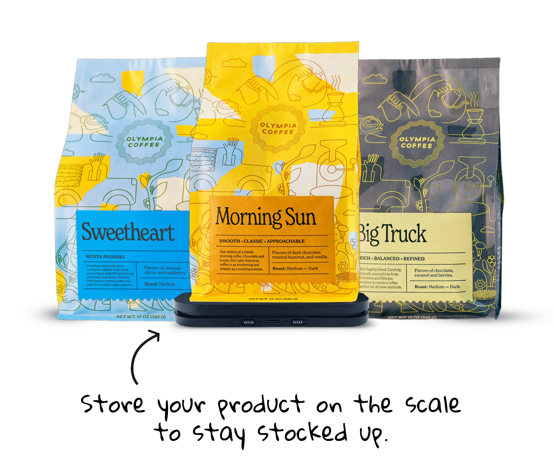 Morning Sun – Olympia Coffee Roasting Company
